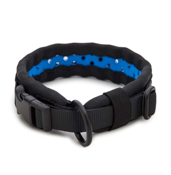 SOFTY Halsband | Länge: 35-41cm | Breite: 2,8cm | Farbe: schwarz/blau